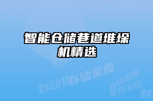 智能倉儲(chǔ)巷道堆垛機(jī)精選