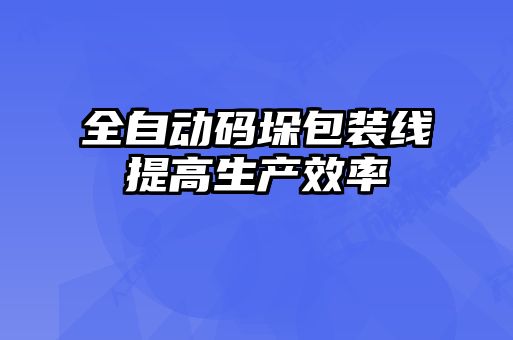 全自動碼垛包裝線提高生產效率