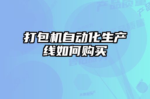 打包機(jī)自動(dòng)化生產(chǎn)線如何購(gòu)買(mǎi)