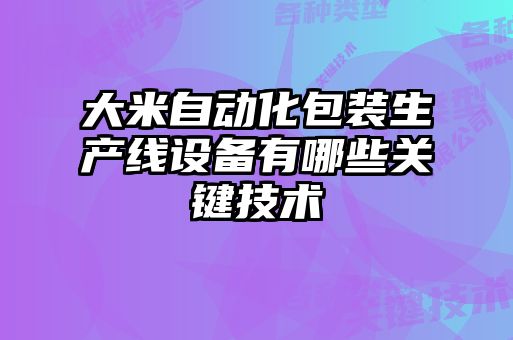 大米自動化包裝生產(chǎn)線設備有哪些關鍵技術