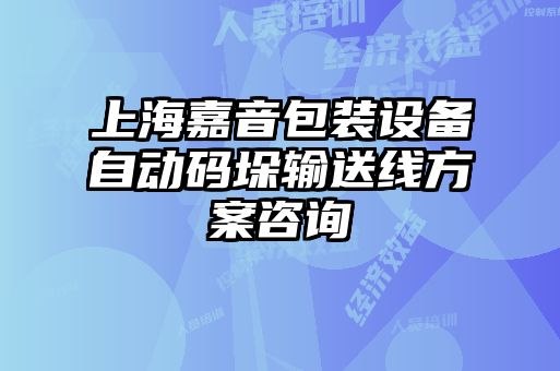 上海嘉音包裝設(shè)備自動(dòng)碼垛輸送線方案咨詢(xún)