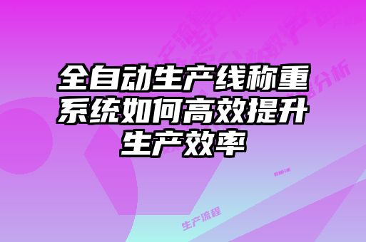 全自動(dòng)生產(chǎn)線稱重系統(tǒng)如何高效提升生產(chǎn)效率