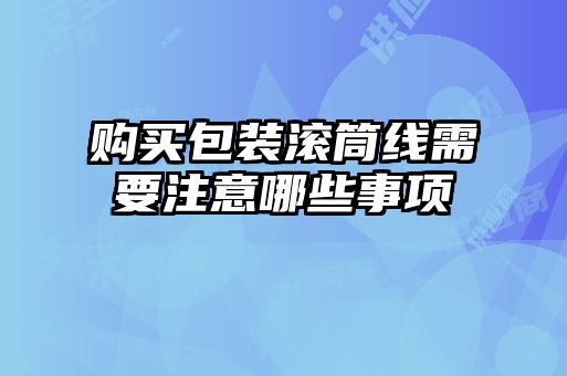 購(gòu)買包裝滾筒線需要注意哪些事項(xiàng)